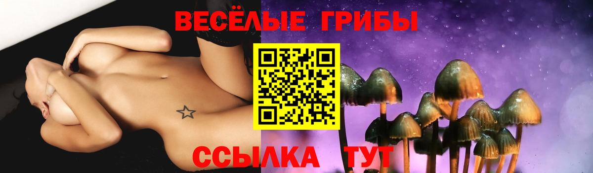 Псилоцибиновые грибы Cubensis Ессентуки